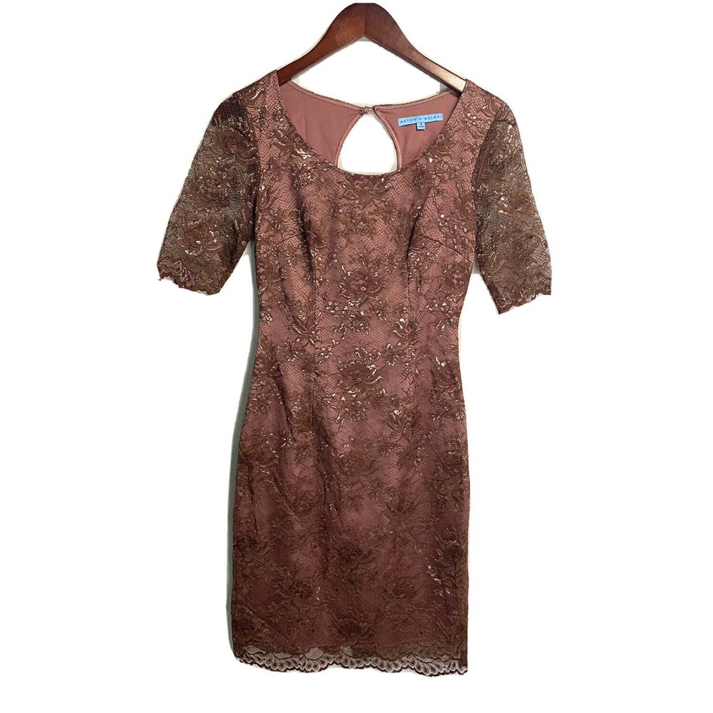 Antonio Melani Women’s Midi Lace Dress Lined Sheer Sleeves Mauve Metallic Size 0